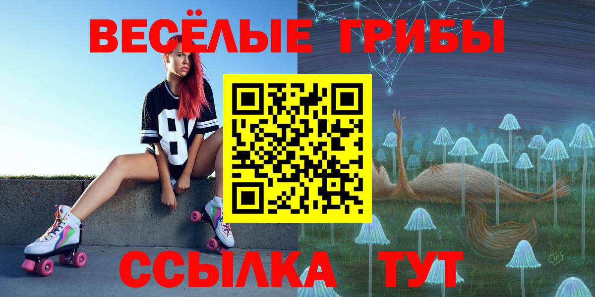 Галлюциногенные грибы Cubensis  Вход с VPN  Кунгур 